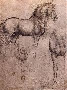 Leonardo Da Vinci Studies of horses oil painting